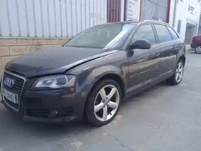 Vehículo de desguace AUDI A3 (8P) 2.0 TDI del año 2009 con motor CBAB