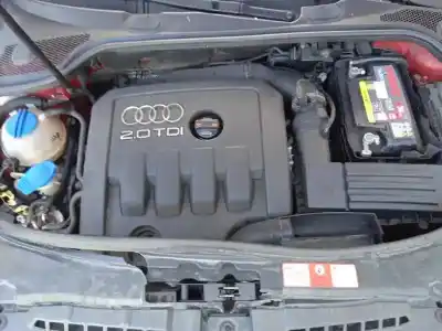 Scrapping Vehicle audi a3 (8p) 2.0 tdi of the year 2008 powered bkd