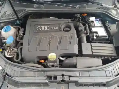 Veículo de Sucata audi a3 sportback (8p) 1.6 tdi do ano 2010 alimentado cayc
