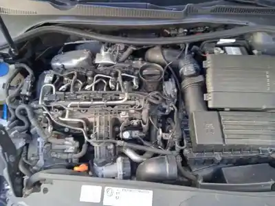 Scrapping Vehicle volkswagen golf vi (5k1) 1.6 tdi of the year 2012 powered cayc