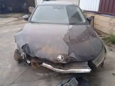 Scrapping Vehicle skoda octavia lim. (nx3) 2.0 tdi of the year 2021 powered dtrd