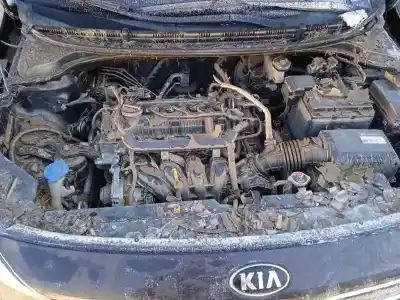 Verschrottungsfahrzeug kia rio (yb) 1.2 cat des jahres 2017 angetrieben g4la