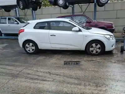 Veicolo di demolizione kia pro cee´d (ed) 1.6 crdi 90 dell'anno 2009 alimentato d4fbl
