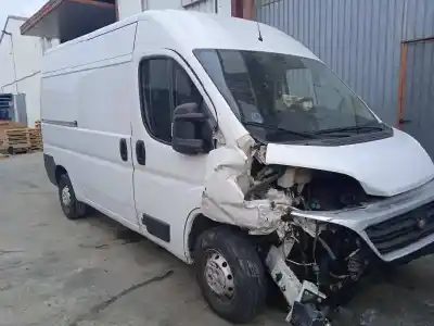 Veículo de Sucata FIAT DUCATO MAXI FURGÓN G. VOL. 35 (290) 2.3 JTD CAT do ano 2019 alimentado F1AGL411D