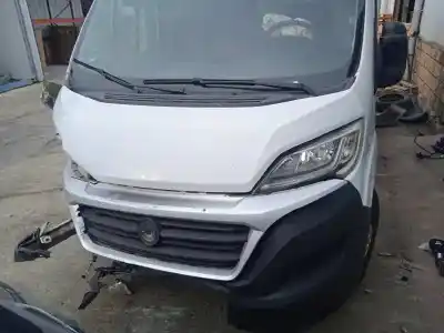 Veículo de Sucata fiat ducato maxi furgón g. vol. 35 (290) 2.3 jtd cat do ano 2019 alimentado f1agl411d Veículo de Sucata fiat ducato maxi furgón g. vol. 35 (290) 2.3 jtd cat do ano 2019 alimentado f1agl411d