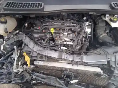 Здавання транспортного засобу ford                                               kuga (cbs)                                                                                                                                                                                                                                                 2.0 tdci cat року 2019 потужний t8mc