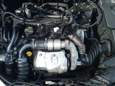 Veicolo di demolizione ford focus lim. (cb8) trend dell'anno 2013 alimentato t1da