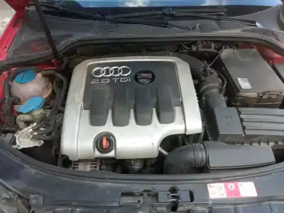 Veículo de Sucata audi a3 (8p1) 2.0 tdi 16v do ano 2004 alimentado bkd