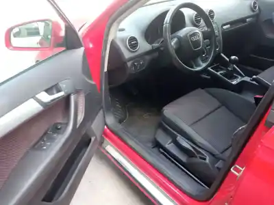 Sloopvoertuig audi a3 (8p1) 2.0 tdi 16v van het jaar 2006 aangedreven bkd