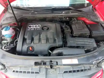 Sloopvoertuig audi a3 (8p1) 2.0 tdi 16v van het jaar 2006 aangedreven bkd