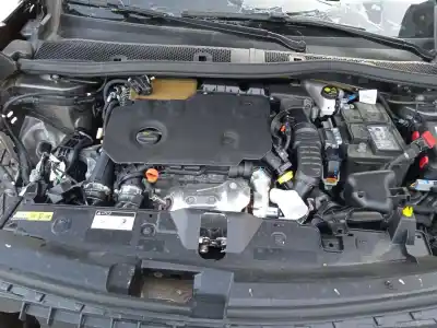 Scrapping Vehicle peugeot 2008 ii (ud_, us_, uy_, uk_) 1.5 bluehdi 110 (udyhsk) of the year 2022 powered yhs (dv5rce)