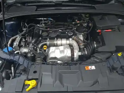 Veicolo di demolizione ford focus iii 1.6 tdci dell'anno 2015 alimentato t1da