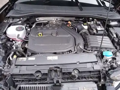 Scrapping Vehicle cupra leon (kl1) 1.5 etsi of the year 2024 powered dfya