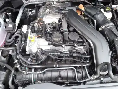 Scrapping Vehicle cupra leon (kl1) 1.5 etsi of the year 2024 powered dfya
