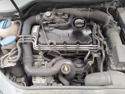 Scrapping Vehicle volkswagen golf v (1k1) 1.9 tdi of the year 2006 powered bkc