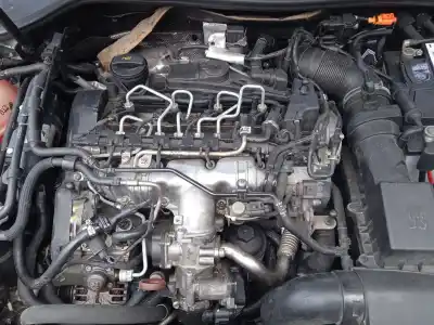 Veicolo di demolizione volkswagen golf vi (5k1) 2.0 tdi dell'anno 2008 alimentato cbdc