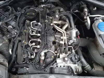 Scrapping Vehicle audi q5 (8rb) 2.0 tdi quattro of the year 2015 powered cglc