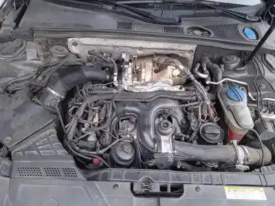 Scrapping Vehicle audi a4 b8 avant (8k5) 3.0 tdi quattro of the year 2015 powered ckvc