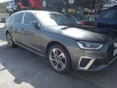 Veículo de Sucata AUDI A4 B9 AVANT (8W5, 8WD) 35 TDI MILD HYBRID do ano 2024 alimentado DTNA