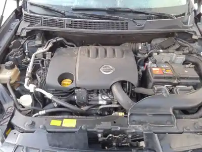 Sloopvoertuig nissan qashqai / qashqai +2 i (j10, nj10, jj10e) 2.0 dci van het jaar 2007 aangedreven m9r832 Sloopvoertuig nissan qashqai / qashqai +2 i (j10, nj10, jj10e) 2.0 dci van het jaar 2007 aangedreven m9r832