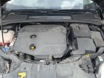 Veículo de Sucata ford focus iii 1.6 tdci do ano 2013 alimentado t1da