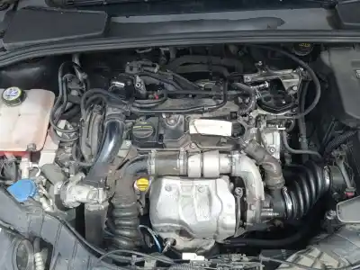 Veículo de Sucata ford focus iii 1.6 tdci do ano 2013 alimentado t1da