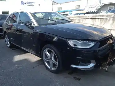 Veículo de Sucata AUDI A4 B9 AVANT (8W5, 8WD) 30 TDI MILD HYBRID do ano 2024 alimentado DTNB