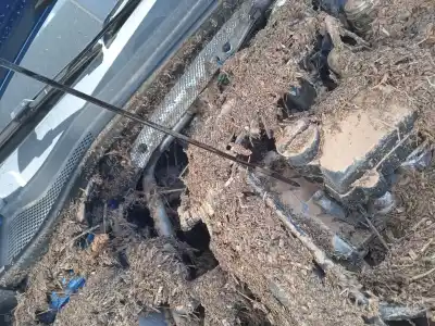 Здавання транспортного засобу seat leon (kl1) 1.0 tsi року 2024 потужний dlaa