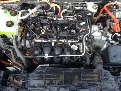 Scrapping Vehicle ford kuga iii (dfk) 2.5 duratec plug-in-hybrid of the year 2024 powered bgda