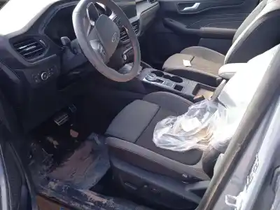 Scrapping Vehicle ford kuga iii (dfk) 2.5 duratec plug-in-hybrid of the year 2024 powered bgda