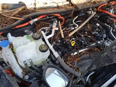 Veicolo di demolizione ford kuga iii (dfk) 2.5 duratec plug-in-hybrid dell'anno 2024 alimentato bgda