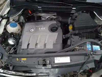 Véhicule à la ferraille volkswagen polo v (6r1, 6c1) 1.6 tdi de l'année 2014 alimenté cayb