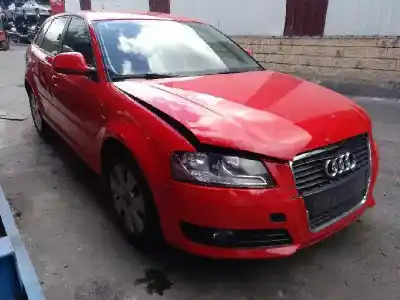 Veicolo di demolizione audi a3 sportback (8p) 1.9 tdi dell'anno 2009 alimentato bls