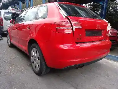 Veicolo di demolizione audi a3 sportback (8p) 1.9 tdi dell'anno 2009 alimentato bls