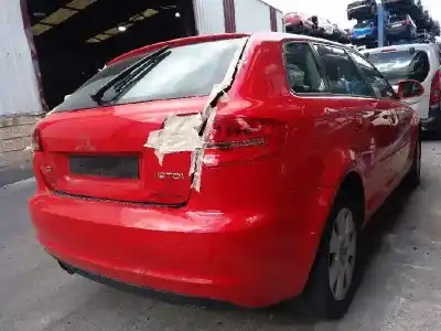 Veicolo di demolizione audi a3 sportback (8p) 1.9 tdi dell'anno 2009 alimentato bls
