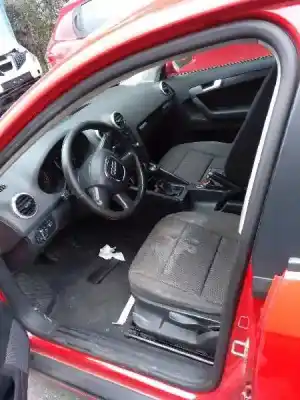 Veicolo di demolizione audi a3 sportback (8p) 1.9 tdi dell'anno 2009 alimentato bls