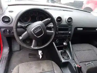 Veicolo di demolizione audi a3 sportback (8p) 1.9 tdi dell'anno 2009 alimentato bls