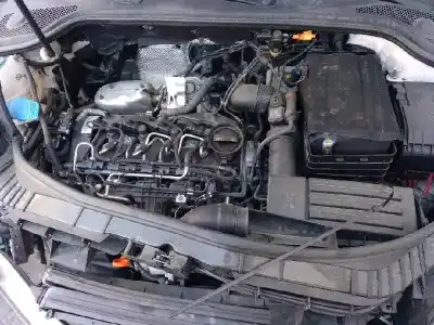 Veicolo di demolizione audi a3 sportback (8p) 1.6 tdi dell'anno 2012 alimentato cayc