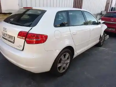 Veicolo di demolizione audi a3 sportback (8p) 1.6 tdi dell'anno 2012 alimentato cayc