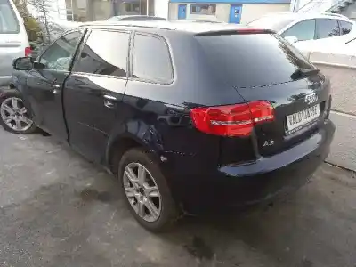 Vehículo de desguace audi a3 (8p) 1.6 tdi attraction del año 2011 con motor cayc