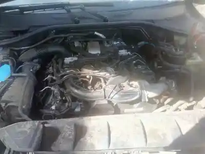 Scrapping Vehicle audi q7 (4l) 3.0 tdi of the year 2007 powered bug