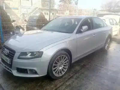 Здавання транспортного засобу AUDI A4 BERLINA (B8) Básico року 2009 потужний CAGA