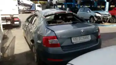 Scrapping Vehicle skoda octavia lim. (5e3) style of the year 2013 powered ckfc