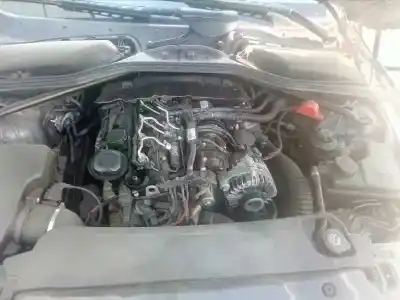 Veicolo di demolizione bmw serie 5 berlina (e60) 520d dell'anno 2008 alimentato n47d20a