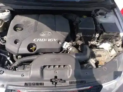 Veicolo di demolizione kia cee´d 1.6 crdi cat dell'anno 2008 alimentato d4fb