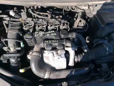 Veículo de Sucata ford focus berlina (cap) ghia do ano 2005 alimentado hhda