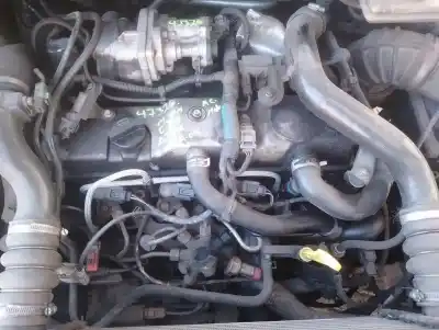 Veículo de Sucata ford transit connect (tc7) furgón (2006->) do ano 2007 alimentado r2pa