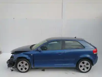 Véhicule à la ferraille audi a3 (8p1) 2.0 tdi 16v de l'année 2001 alimenté bkd
