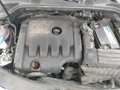 Véhicule à la ferraille audi a3 (8p1) 2.0 tdi 16v de l'année 2001 alimenté bkd