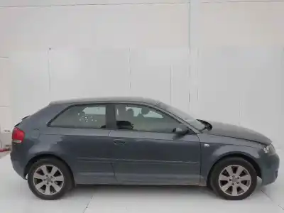 Véhicule à la ferraille audi a3 (8p1) 2.0 tdi 16v de l'année 2001 alimenté bkd